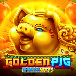 Golden Pig GMW
